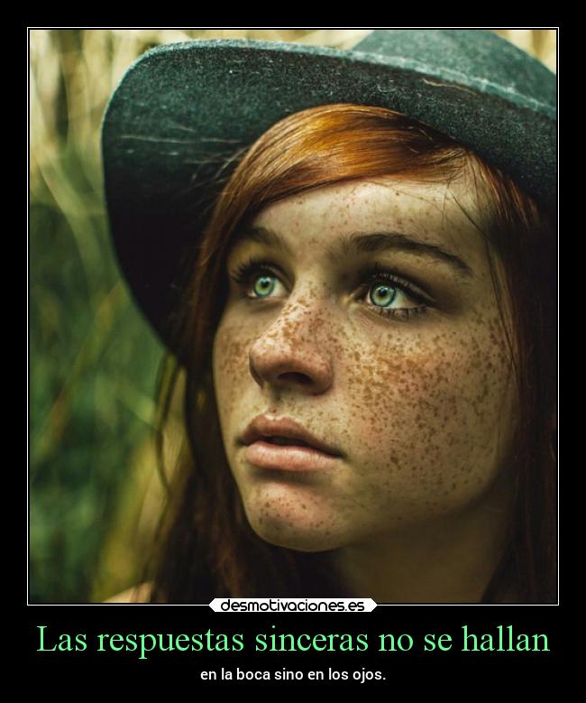 Las respuestas sinceras no se hallan - 