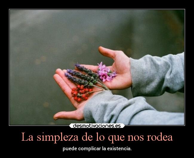 La simpleza de lo que nos rodea - 