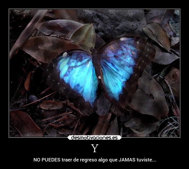 Y - NO PUEDES traer de regreso algo que JAMAS tuviste...