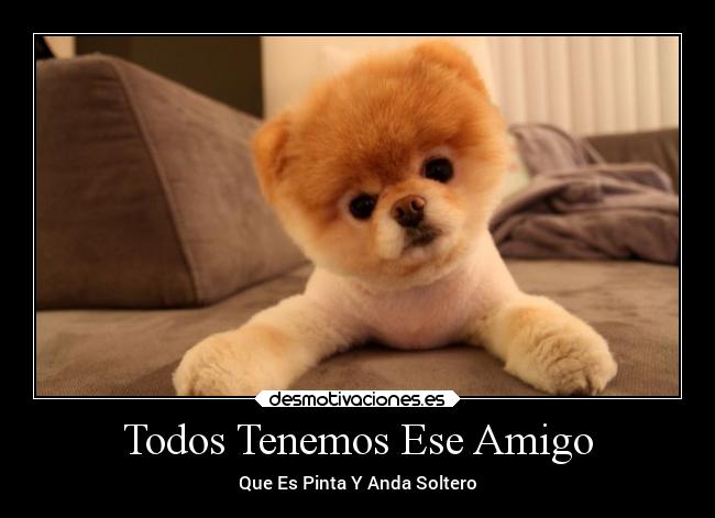 Todos Tenemos Ese Amigo - Que Es Pinta Y Anda Soltero