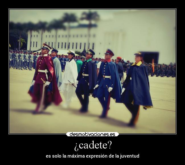 ¿cadete? - es solo la máxima expresión de la juventud