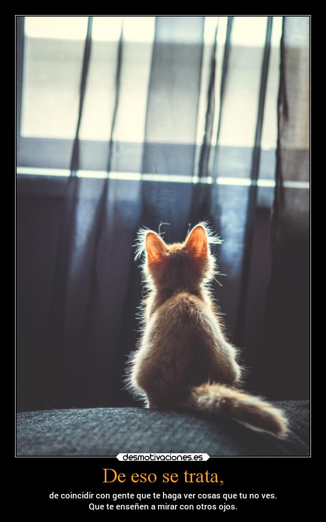 carteles alma amigos gente trata coincidir haga ver cosas ves ensenar mirar otros ojos tumblr desmotivaciones