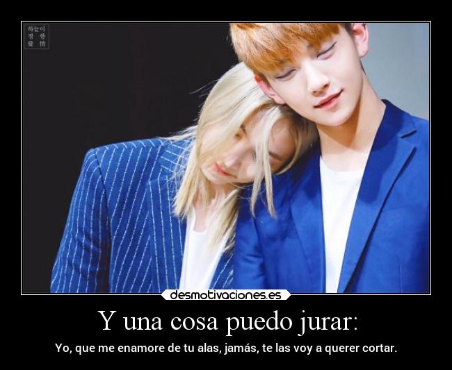 Y una cosa puedo jurar: - Yo, que me enamore de tu alas, jamás, te las voy a querer cortar.