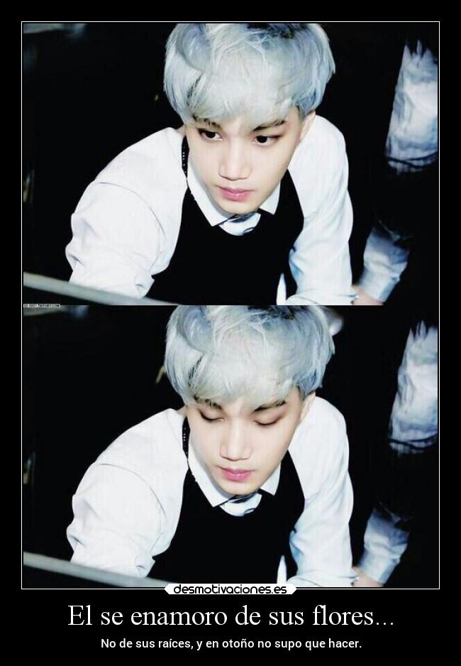 El se enamoro de sus flores... - No de sus raíces, y en otoño no supo que hacer.