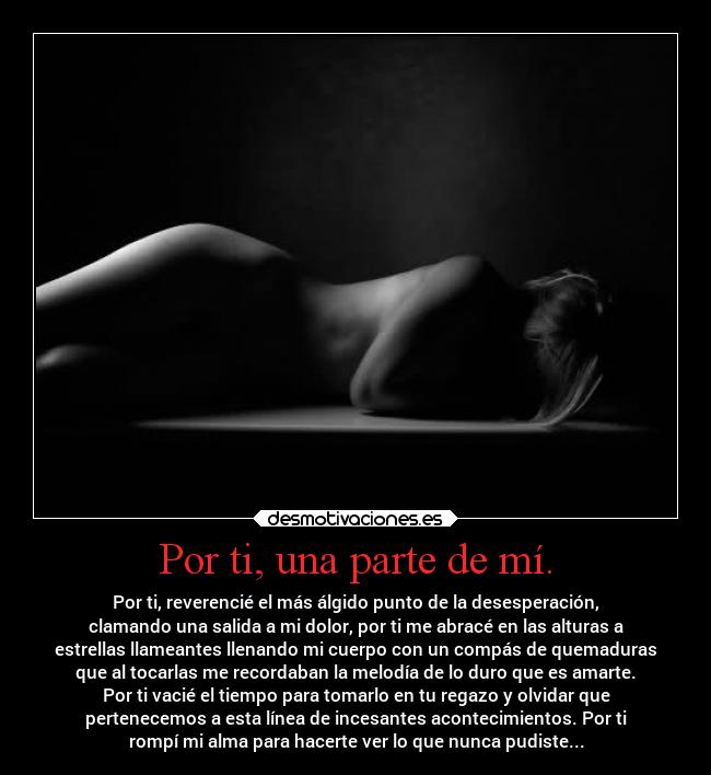 carteles alma dimitri loco destrozado desmotivaciones