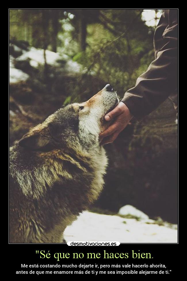Sé que no me haces bien. - Me está costando mucho dejarte ir, pero más vale hacerlo ahorita,
antes de que me enamore más de ti y me sea imposible alejarme de ti.