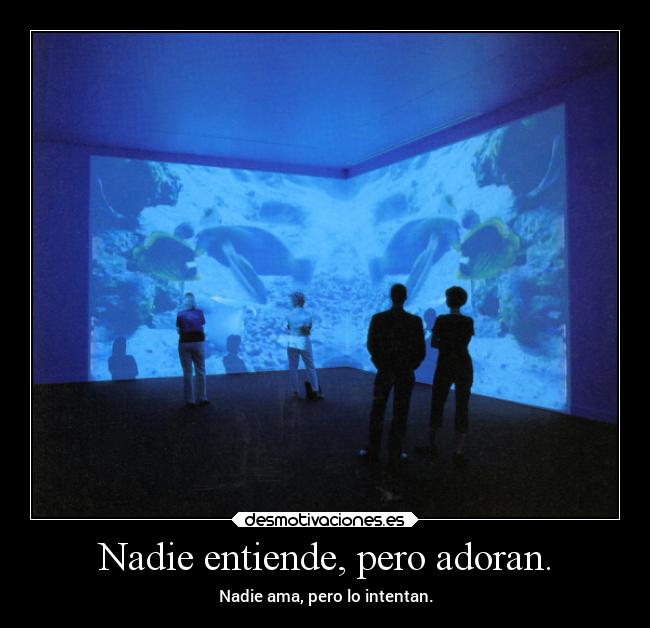 Nadie entiende, pero adoran. - Nadie ama, pero lo intentan.