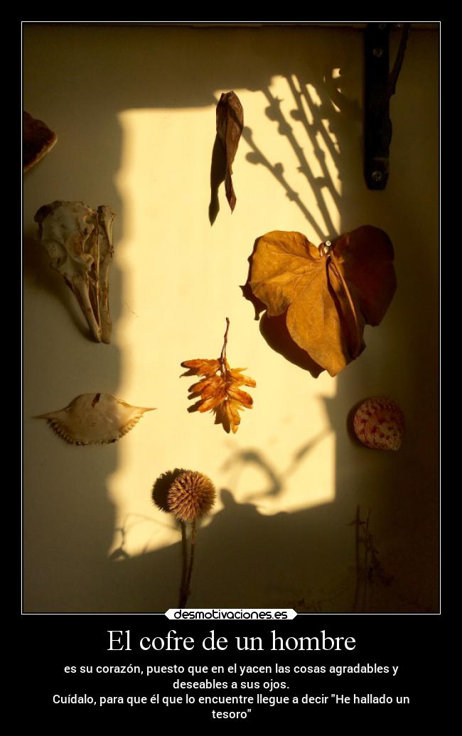 El cofre de un hombre -