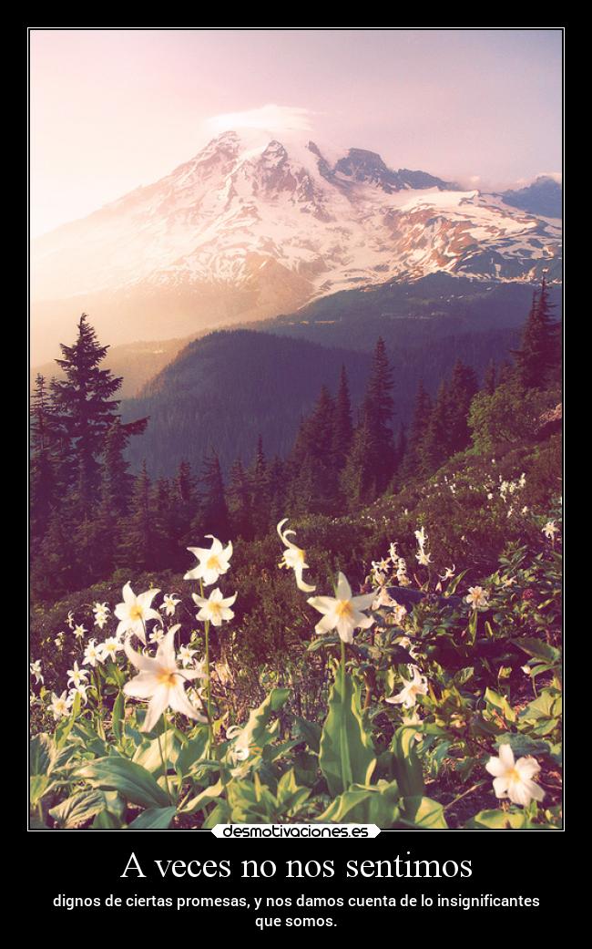 A veces no nos sentimos -