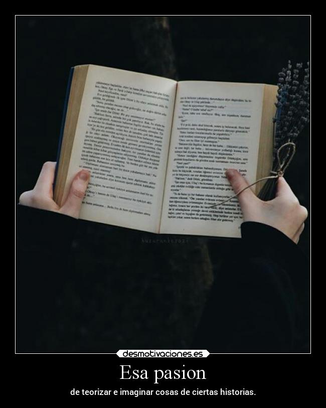 Esa pasion - de teorizar e imaginar cosas de ciertas historias.