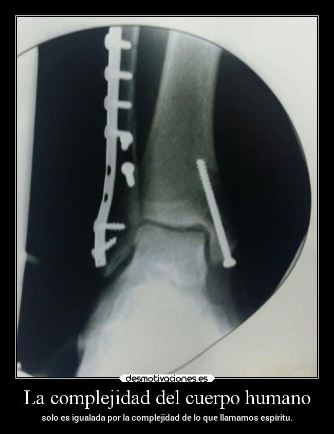 La complejidad del cuerpo humano - solo es igualada por la complejidad de lo que llamamos espíritu.