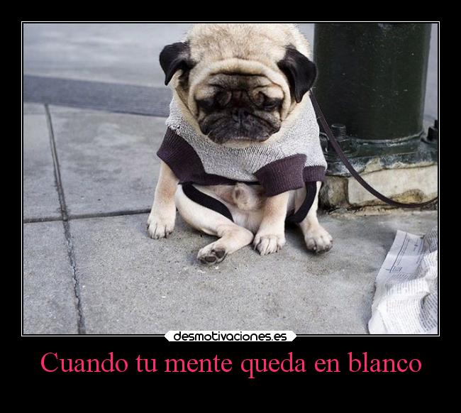 Cuando tu mente queda en blanco - 