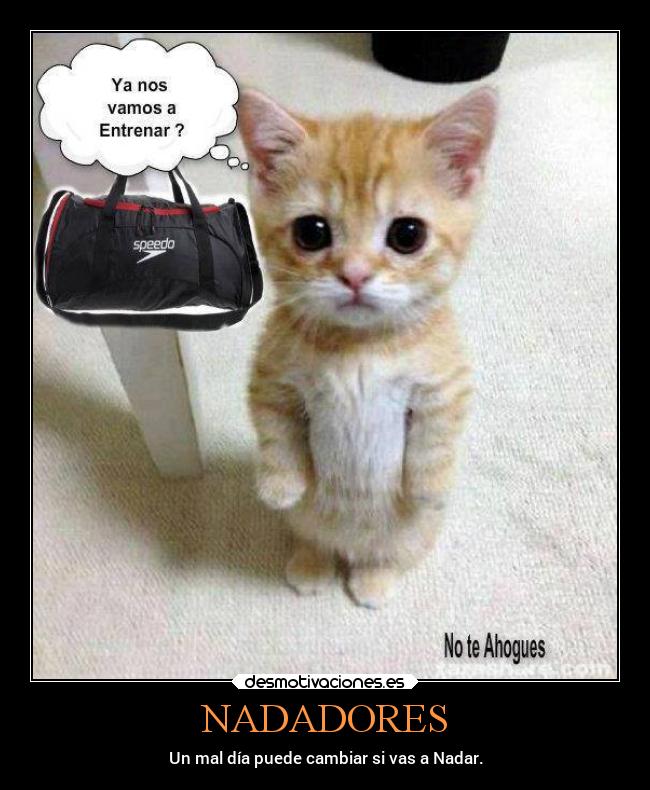 NADADORES - Un mal día puede cambiar si vas a Nadar.