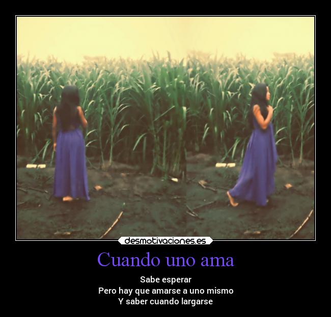 carteles amor ausencia amorpropio dignidad desmotivaciones