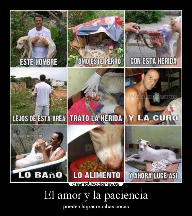 El amor y la paciencia -