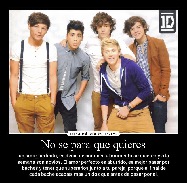 No se para que quieres - un amor perfecto, es decir: se conocen al momento se quieren y a la
semana son novios. El amor perfecto es aburrido, es mejor pasar por
baches y tener que superarlos junto a tu pareja, porque al final de
cada bache acabaís mas unidos que antes de pasar por el.