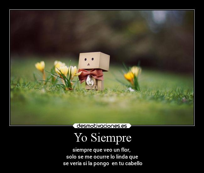 Yo Siempre -
