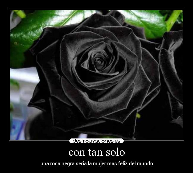 carteles amor tristeza desmotivaciones