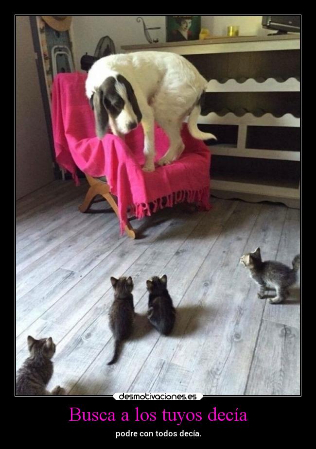 Busca a los tuyos decía - podre con todos decía.