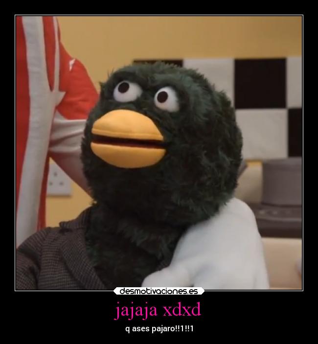 jajaja xdxd - 
