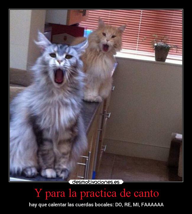 Y para la practica de canto - hay que calentar las cuerdas bocales: DO, RE, MI, FAAAAAA