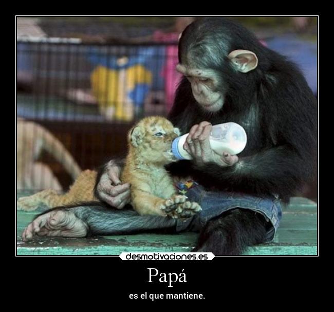 Papá - es el que mantiene.