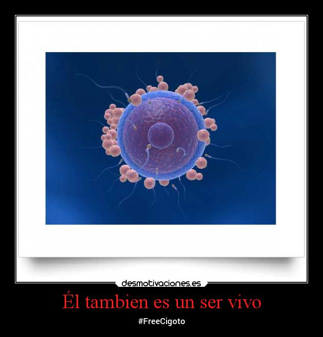 Él tambien es un ser vivo -