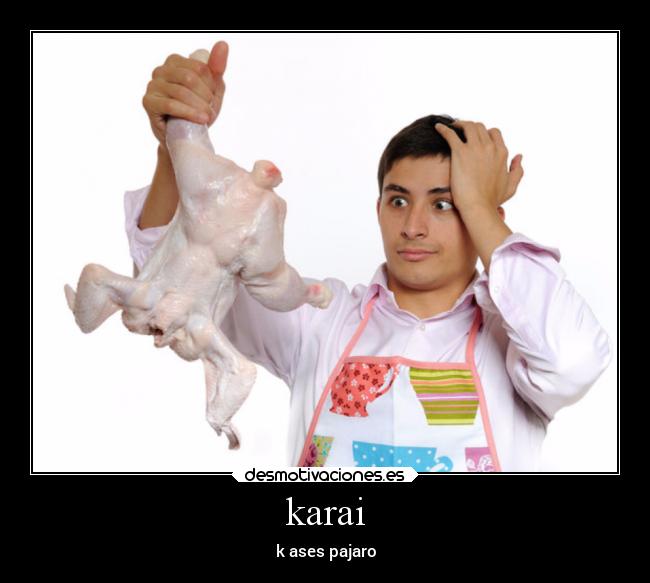 karai - k ases pajaro