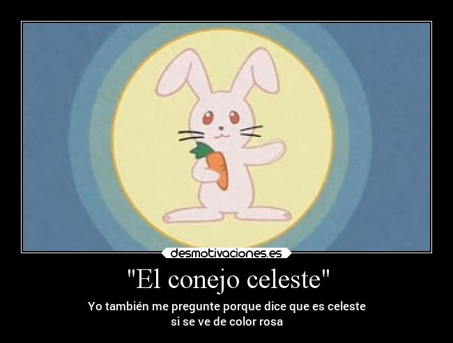 El conejo celeste -