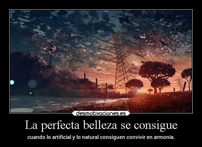 carteles anime perfeccion belleza conseguir artificial natural convivir armonia super fly atardecer arboles desmotivaciones