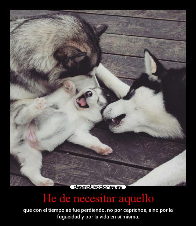 He de necesitar aquello - 