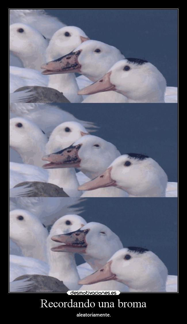 Recordando una broma - 
