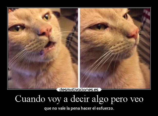 Cuando voy a decir algo pero veo - 