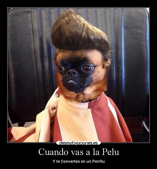 Cuando vas a la Pelu - Y te Convertes en un Perritu