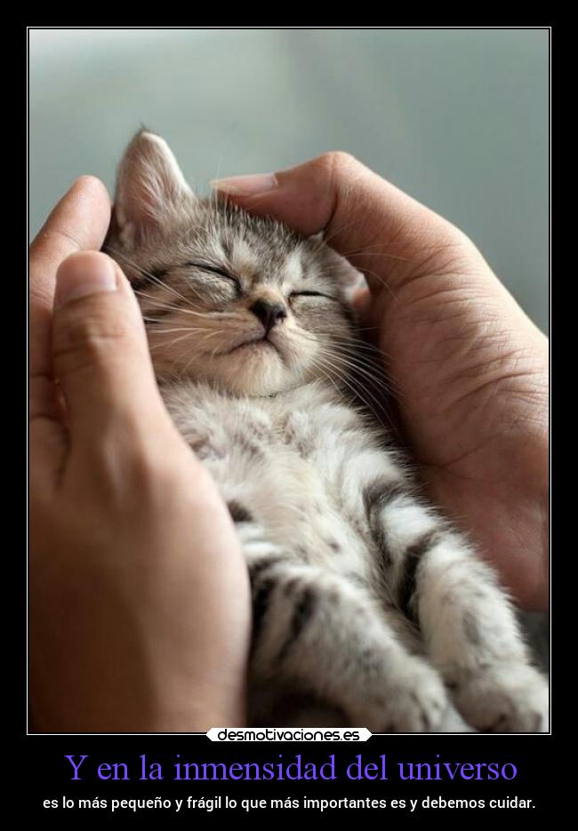 Y en la inmensidad del universo - 