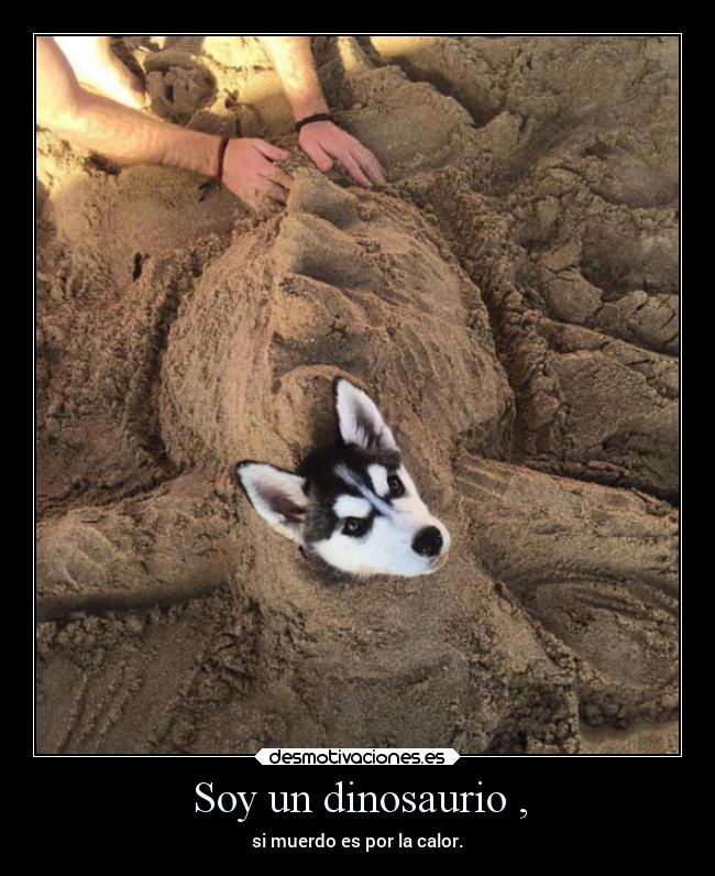 Soy un dinosaurio , - si muerdo es por la calor.