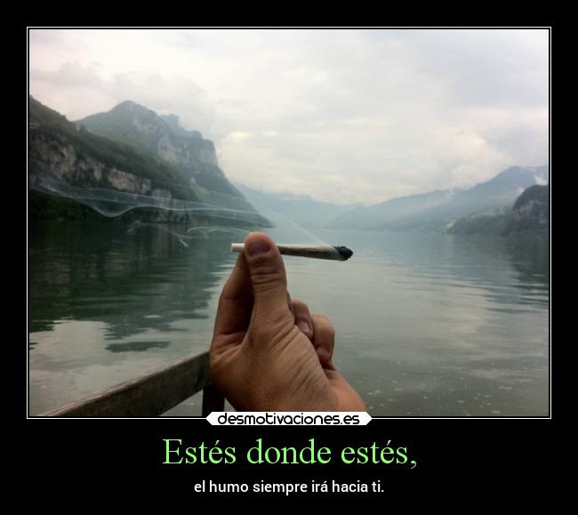 Estés donde estés, - el humo siempre irá hacia ti.