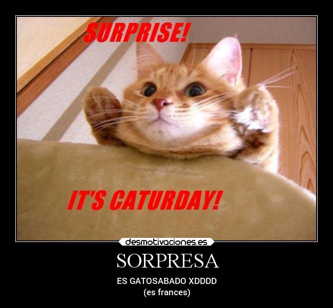 SORPRESA - 