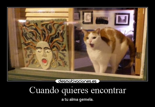 Cuando quieres encontrar -