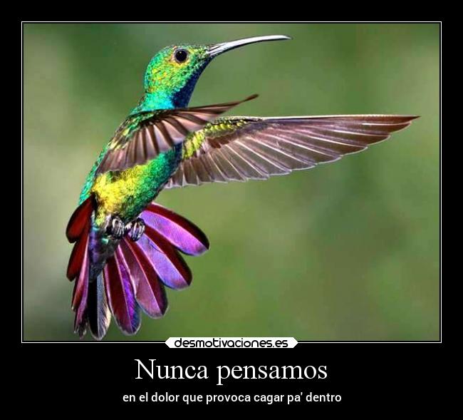 Nunca pensamos - en el dolor que provoca cagar pa dentro