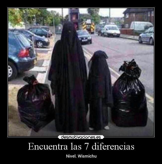 Encuentra las 7 diferencias - Nivel. Wismichu