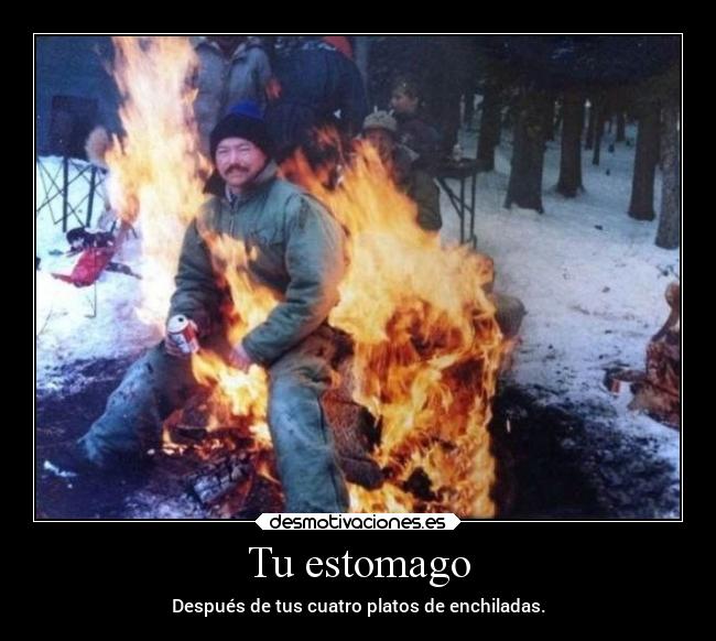 carteles comida mexicana desmotivaciones