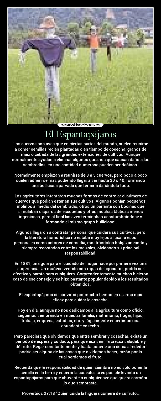 El Espantapájaros - Los cuervos son aves que en ciertas partes del mundo, suelen reunirse
a comer semillas recién plantadas o en tiempo de cosecha, granos de
maíz o cebada de las grandes extensiones de cultivos. Aunque
normalmente ayudan a eliminar algunos gusanos que causan daño a los
sembradíos, en una cantidad numerosa pueden ser dañinos.

Normalmente empiezan a reunirse de 3 a 5 cuervos, pero poco a poco
suelen adherirse más pudiendo llegar a ser hasta 30 o 40, formando
una bulliciosa parvada que termina dañándolo todo.

Los agricultores intentaron muchas formas de controlar el número de
cuervos que podían estar en sus cultivos: Algunos ponían pequeños
molinos al medio del sembradío, otros un parlante con bocinas que
simulaban disparos de escopetas y otras muchas tácticas menos
ingeniosas, pero al final las aves terminaban acostumbrándose y
formando el mismo grupo bullicioso.

Algunos llegaron a contratar personal que cuidara sus cultivos, pero
la literatura humorística no estaba muy lejos al usar a esos
personajes como actores de comedia, mostrándolos holgazaneando y
siempre recostados entre los maizales, olvidando su principal
responsabilidad.

En 1881, una guía para el cuidado del hogar hace por primera vez una
sugerencia: Un muñeco vestido con ropas de agricultor, podría ser
efectiva y barata para cualquiera. Sorprendentemente muchos hicieron
caso de ese consejo y se hizo bastante popular debido a los resultados
obtenidos.

El espantapájaros se convirtió por mucho tiempo en el arma más
eficaz para cuidar la cosecha.

Hoy en día, aunque no nos dedicamos a la agricultura como oficio,
seguimos sembrando en nuestra familia, matrimonio, hogar, hijos,
trabajo, empresa, estudios, etc. y lógicamente esperamos una
abundante cosecha.

Pero pareciera que olvidamos que entre sembrar y cosechar, existe un
periodo de espera y cuidado, para que esa semilla crezca saludable y
dé fruto. Regar constantemente y hasta ponerle una cerca alrededor
podría ser alguna de las cosas que olvidamos hacer, razón por la
cual perdemos el fruto.

Recuerda que la responsabilidad de quien siembra no es sólo poner la
semilla en la tierra y esperar la cosecha, si es posible levanta un
espantapájaros para que ahuyente a cualquier ave que quiera carroñar
lo que sembraste.

Proverbios 27:18 “Quién cuida la higuera comerá de su fruto…