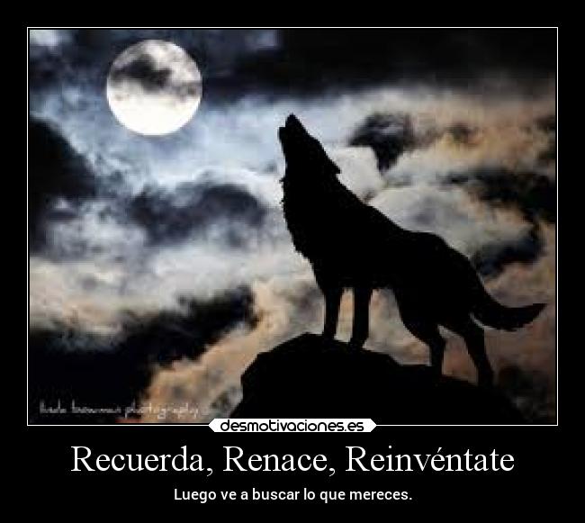 Recuerda, Renace, Reinvéntate - 