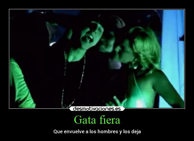 Gata fiera - Que envuelve a los hombres y los deja