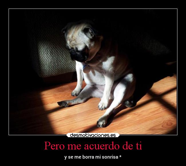 Pero me acuerdo de ti - y se me borra mi sonrisa *
