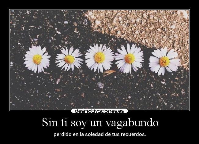 Sin ti soy un vagabundo - perdido en la soledad de tus recuerdos.