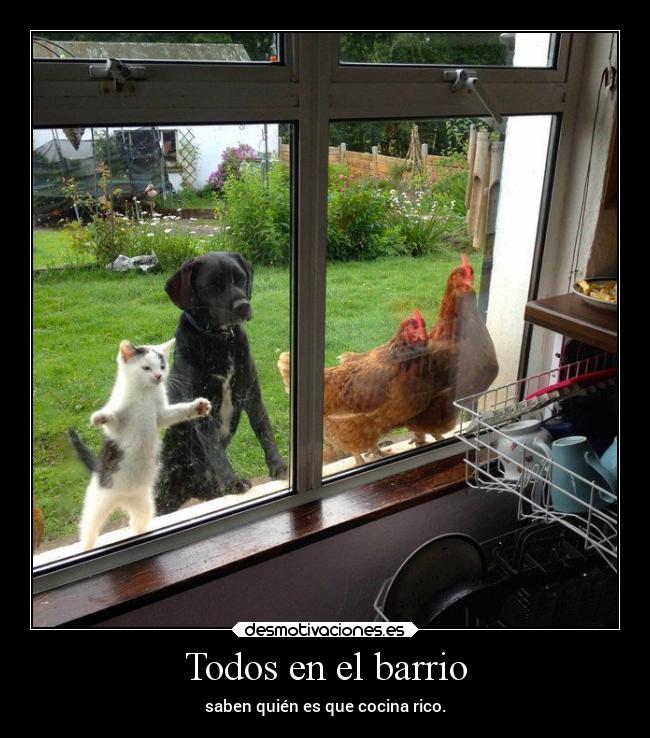 Todos en el barrio - 