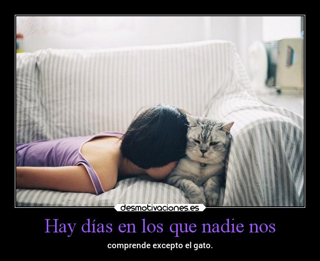 Hay días en los que nadie nos - comprende excepto el gato.