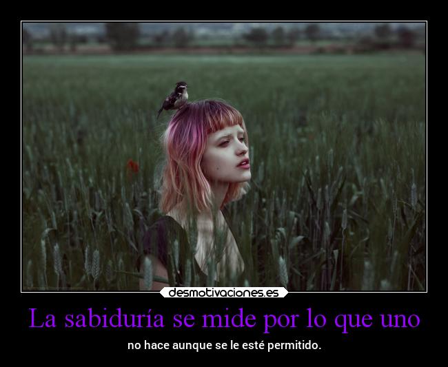 La sabiduría se mide por lo que uno -